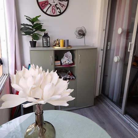 Studio Cabine Avec Loggia Agde Eksteriør billede