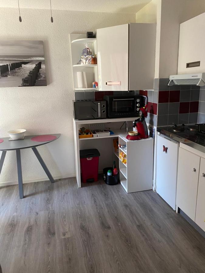 Studio Cabine Avec Loggia Agde Eksteriør billede